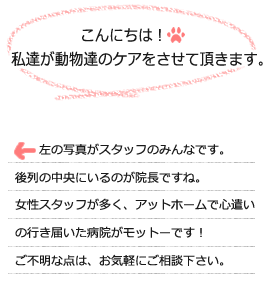 私たちが動物たちのケアをさせて頂きます。