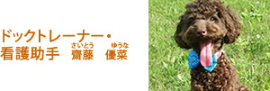 ドックトレーナー・看護助手　さいとうゆうな