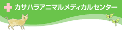 ,̓a@Ȃ綻ױިپ